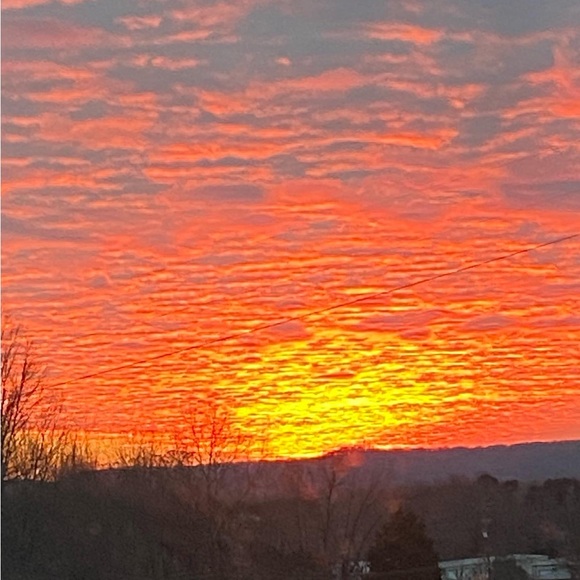 Meet your Posher, Melanie - Picture 13 of 16